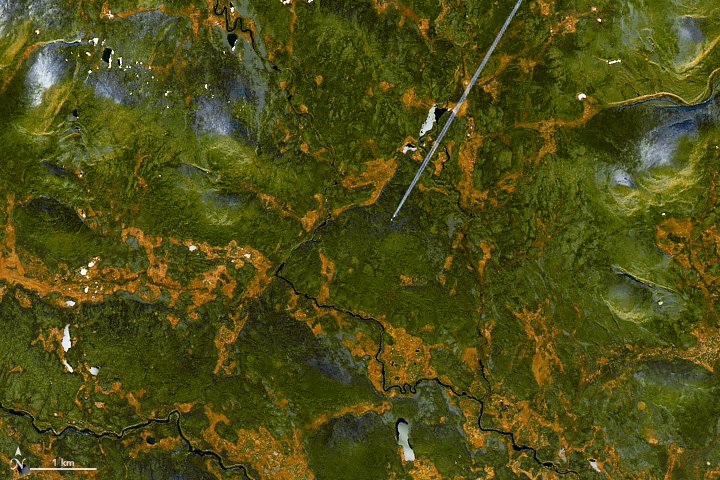 [:ja]【宇宙からの地球絶景】No.109: ラップランドの紅葉[:en][Earthview Wonders] No.109: A Blaze of Yellow in Lapland[:]