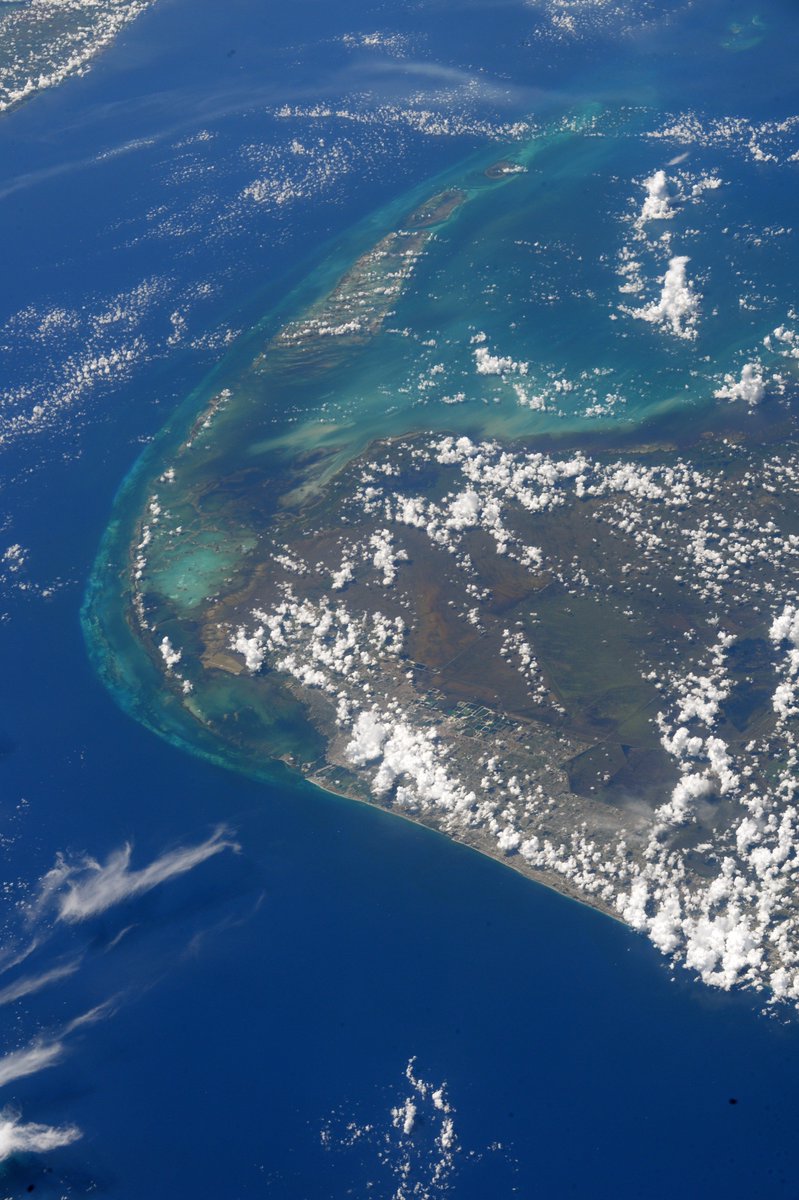 [:ja]【宇宙からの地球絶景】No.360: フロリダ・キーズ🇺🇸[:en][Earthview Wonders] No.360: Florida Keys🇺🇸[:]