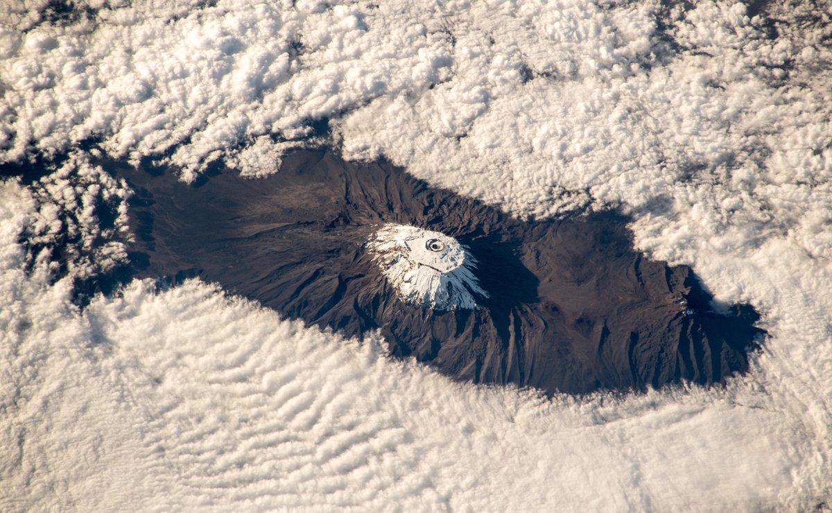 [:ja]【宇宙からの地球絶景】No.571: キリマンジャロ🇹🇿[:en][Earthview Wonders] No.571: Kilimanjaro🇹🇿[:]
