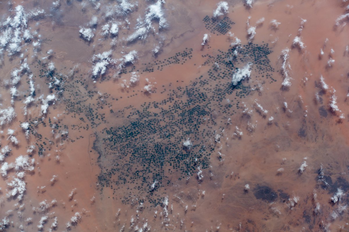 [:ja]【宇宙からの地球絶景】No.628: サウジアラビアの灌漑🇸🇦[:en][Earthview Wonders] No.628: Irrigation System in Saudi Arabia🇸🇦[:]