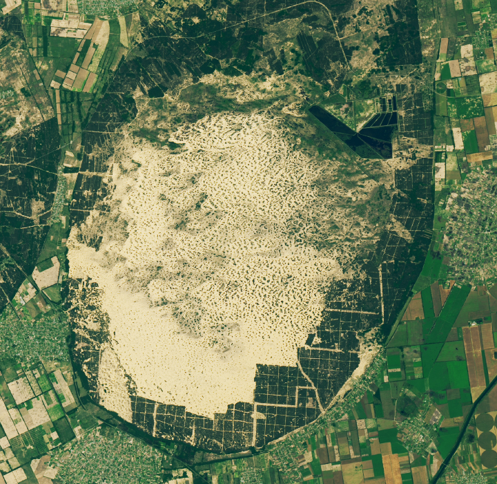 [:ja]【宇宙からの地球絶景】No.890: ウクライナのオレシュキー砂丘🇺🇦[:en][Earthview Wonders] No.890: Oleshky Sands, Ukraine🇺🇦[:]