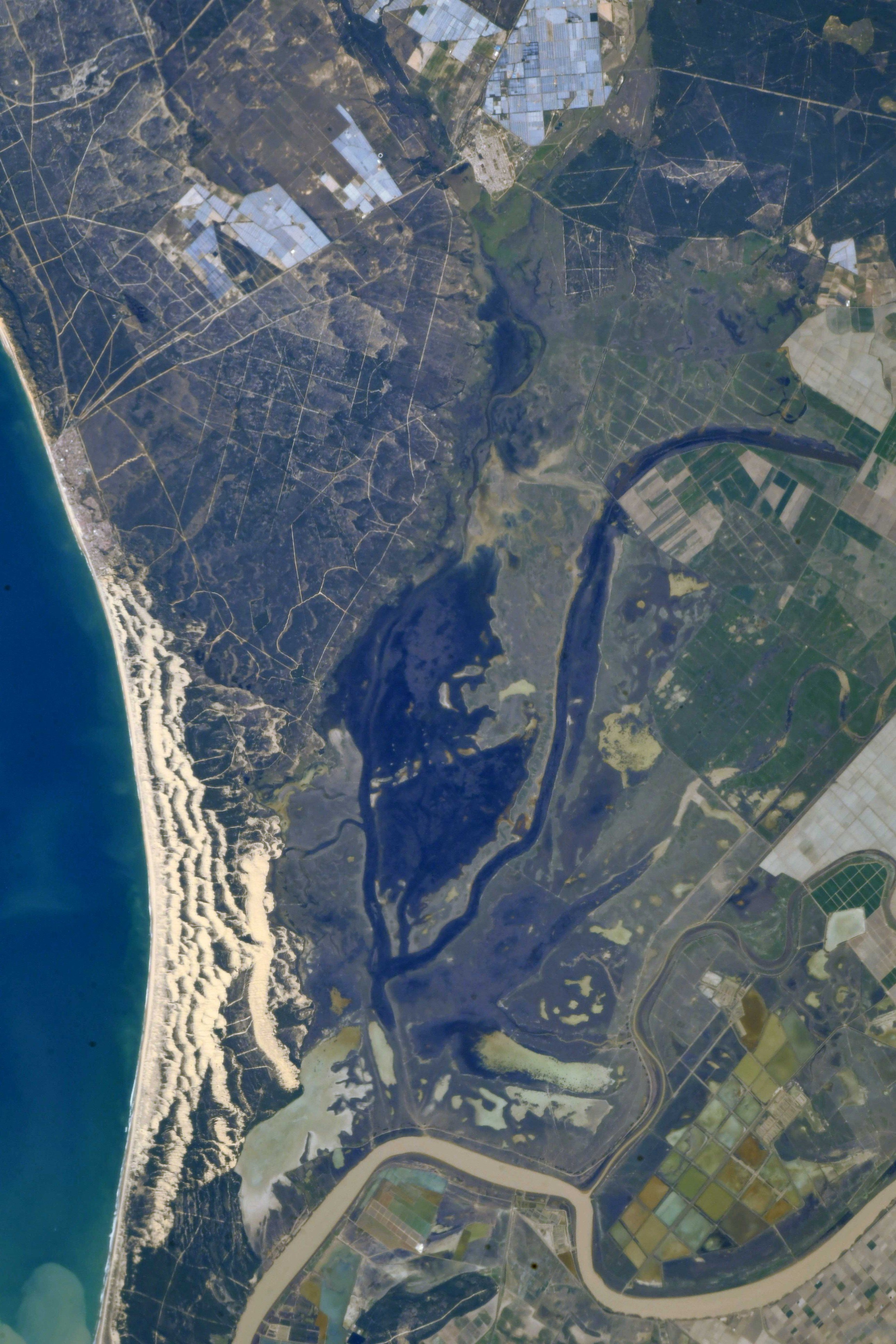[:ja]【宇宙からの地球絶景】No.1010: スペインのドニャーナ国立公園🇪🇸[:en][Earthview Wonders] No.1010: Donana National Park, Spain🇪🇸[:]