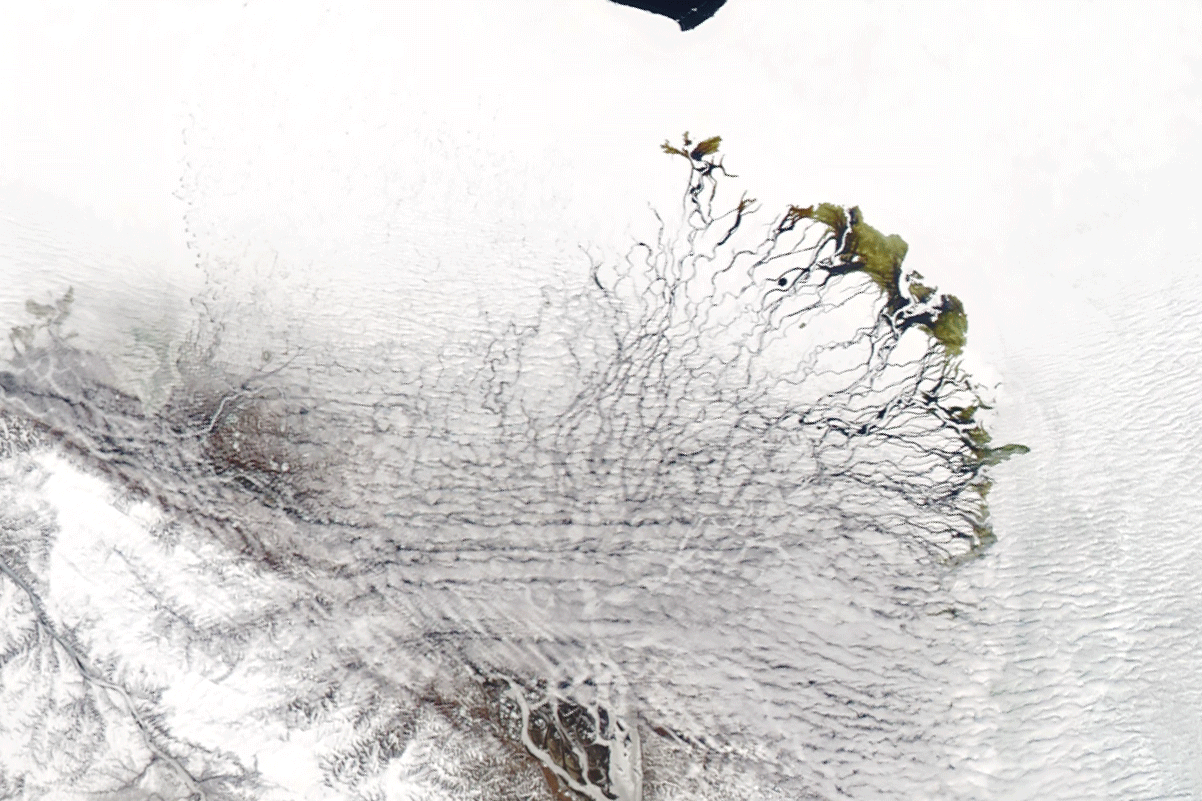 [:ja]【宇宙からの地球絶景】No.1017: レナ川デルタ🇷🇺[:en][Earthview Wonders] No.1017: Lena River Delta🇷🇺[:]