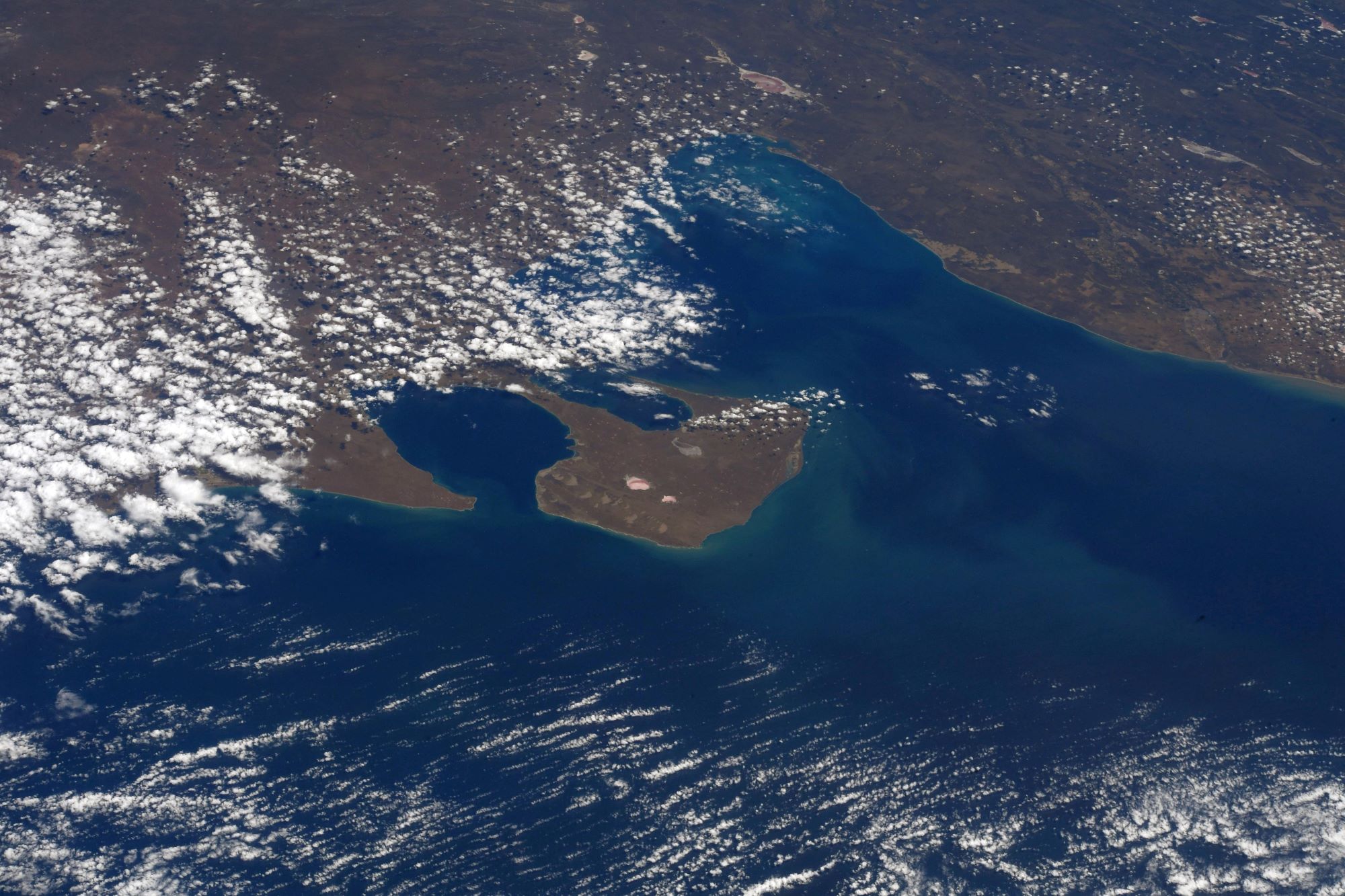 [:ja]【宇宙からの地球絶景】No.1676: バルデス半島🇦🇷[:]