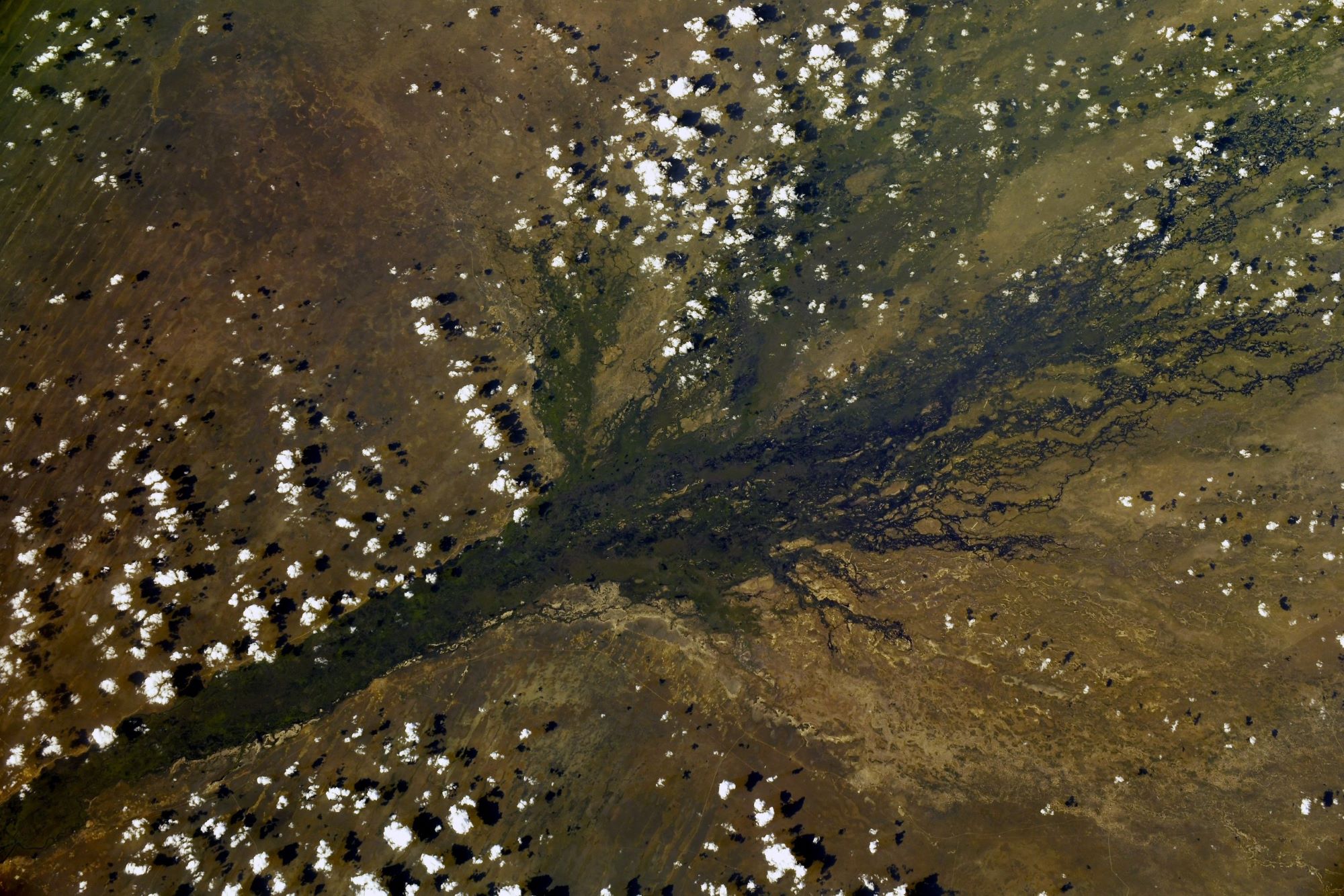 [:ja]【宇宙からの地球絶景】No.1756: オカバンゴデルタ🇧🇼[:]