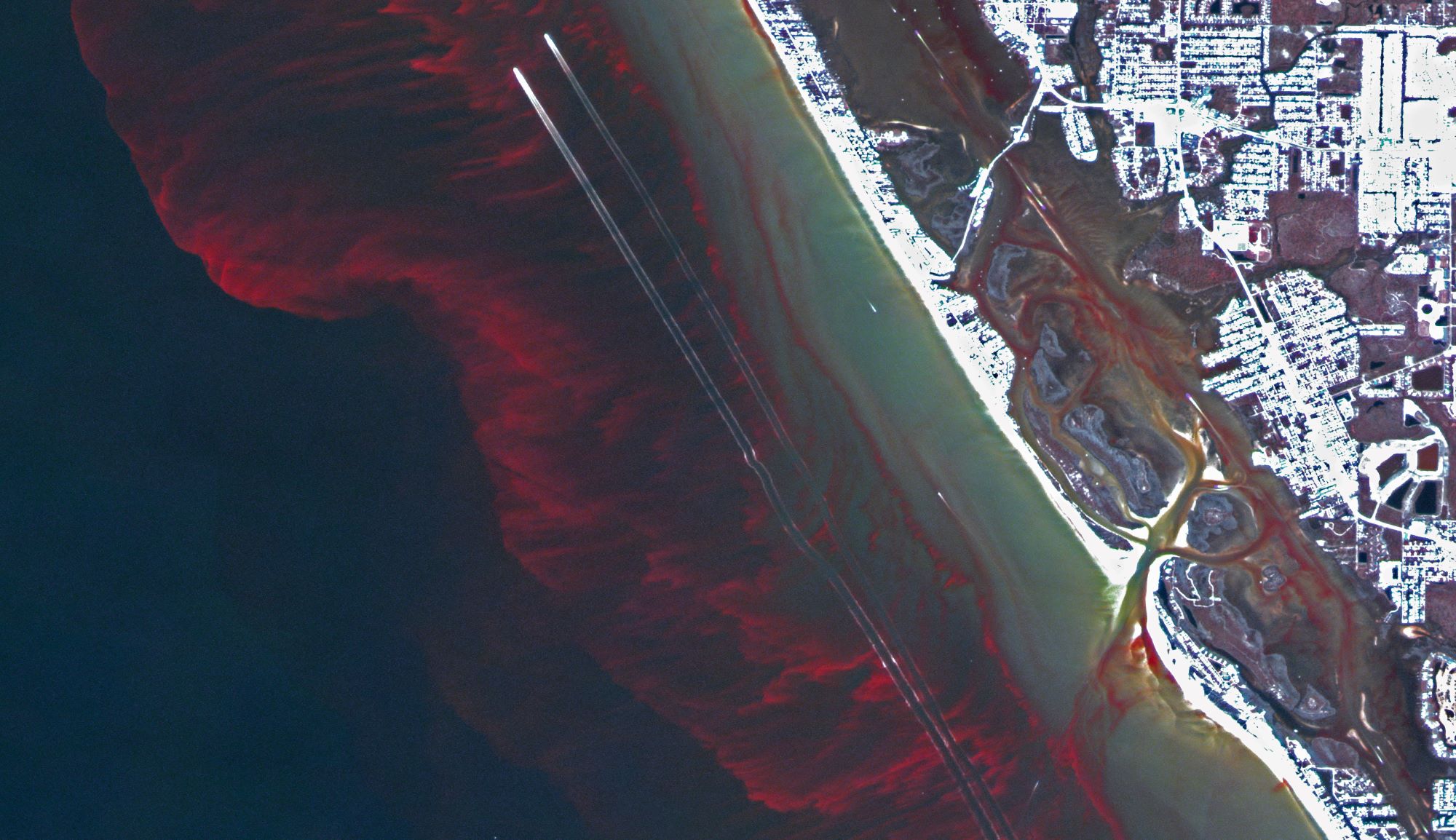 [Overview the Earth] No.1780: Red Tide of Gulf of Mexico🇺🇸