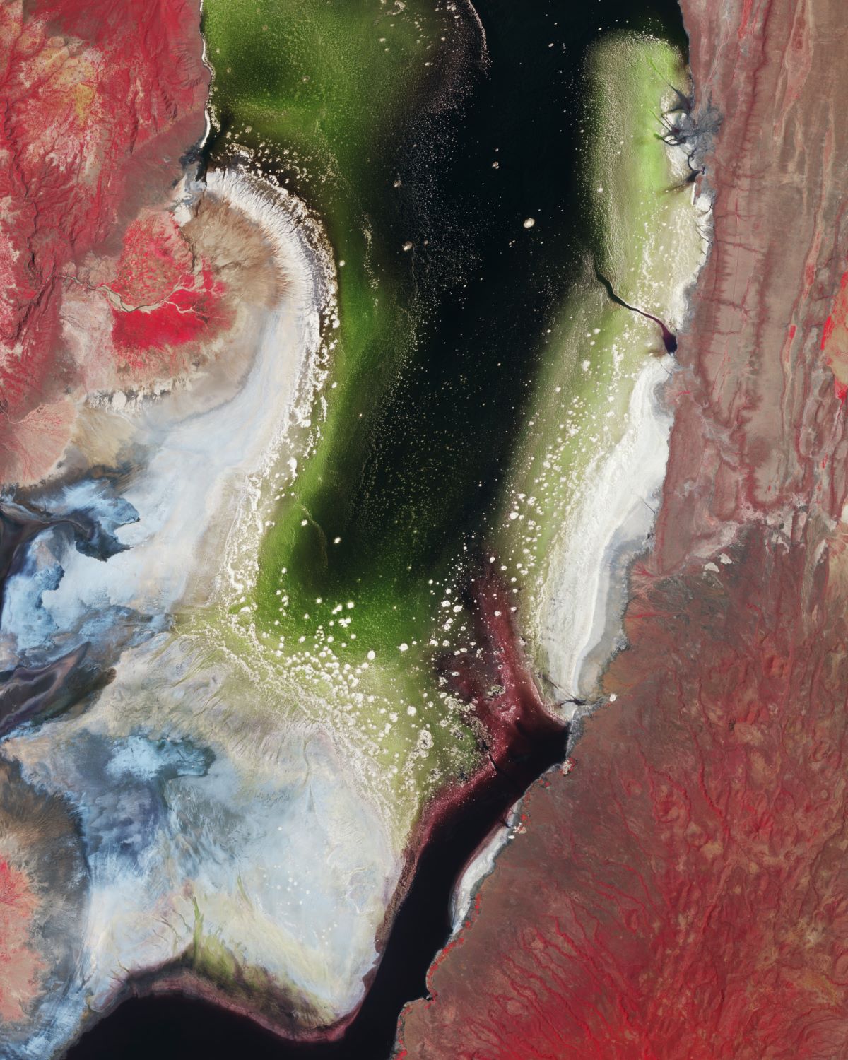 [Overview the Earth] No.2000: Lake Natron🇹🇿
