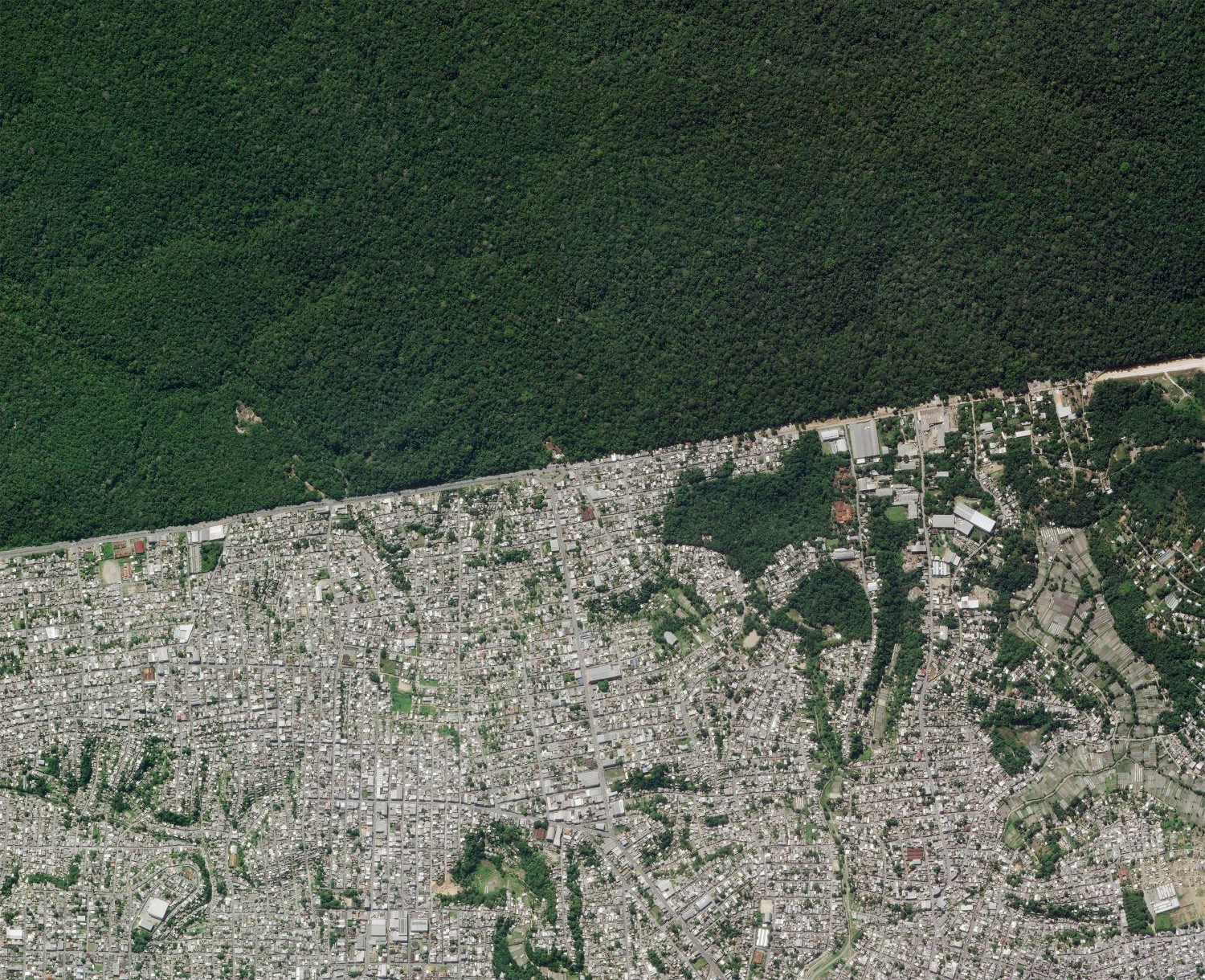 【地球を俯瞰する】No.2020: マナウスのジャングル境界🇧🇷 【地球を俯瞰する】No.2020: マナウスのジャングル境界🇧🇷