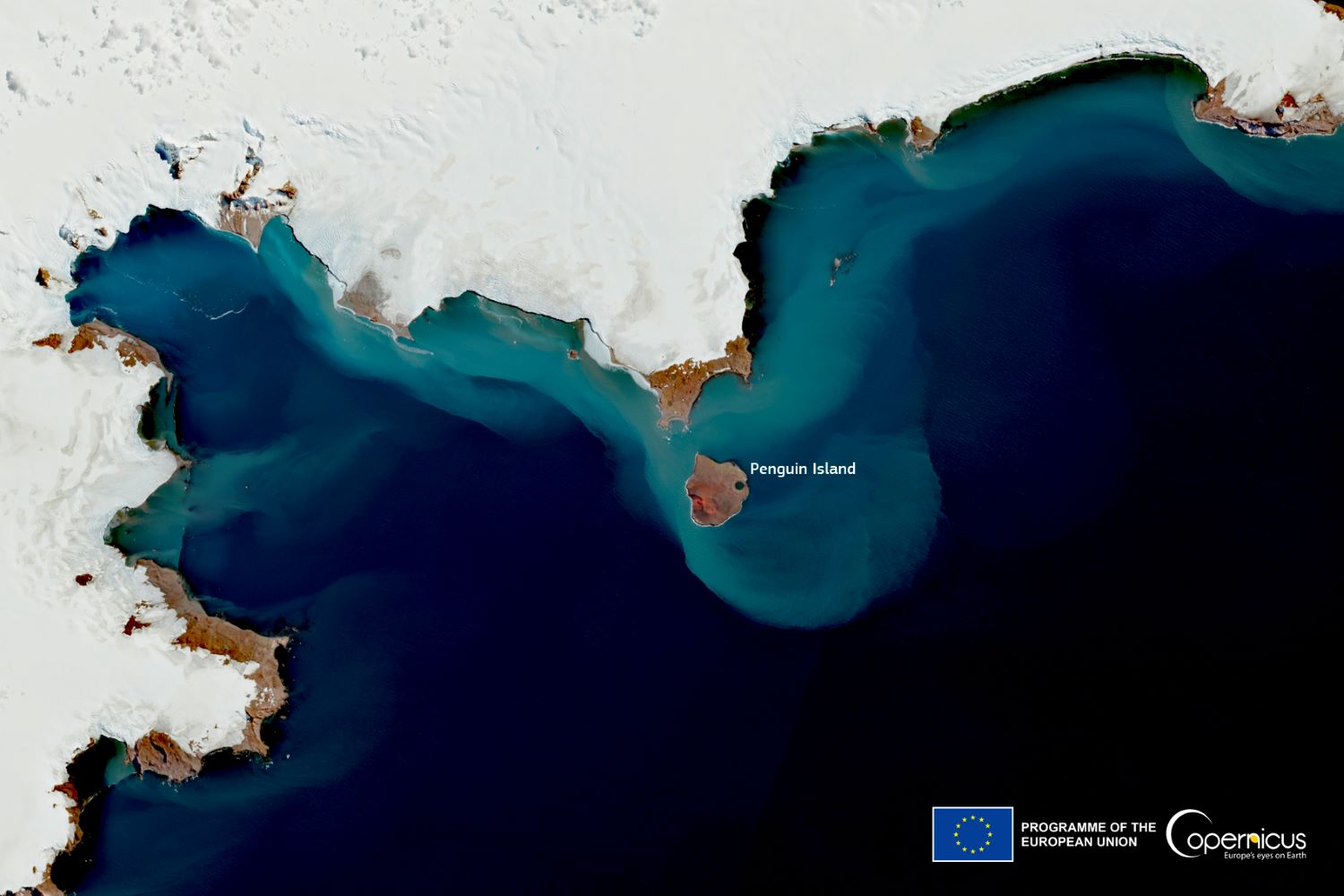 [Overview the Earth] No.2038: Penguin Island of Antarctica🇦🇶