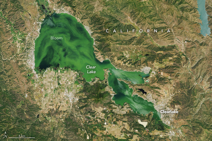 【地球を俯瞰する】No.2079: クリア湖🇺🇸 【地球を俯瞰する】No.2079: クリア湖🇺🇸
