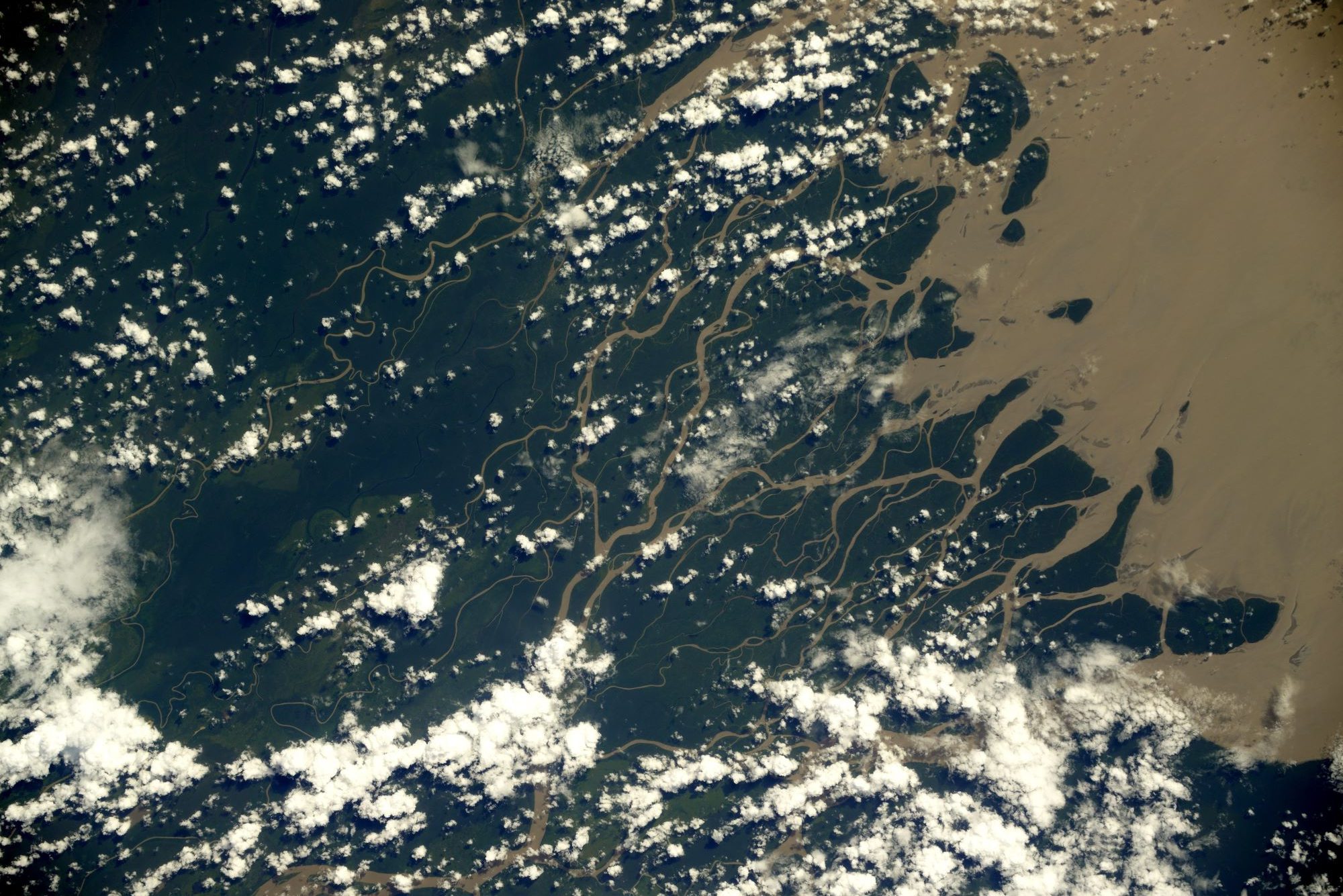 [Overview the Earth] No.2138: Orinoco River Delta🇻🇪